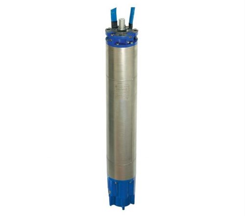 10" Rewindable Motors - Franklin Electric